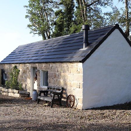 Cosy Couples Retreat At The Coop With Hot Tub Villa Kilkeel Dış mekan fotoğraf